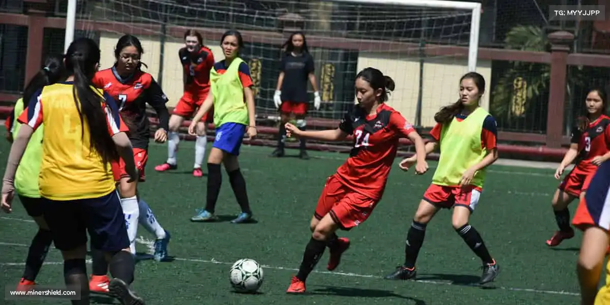 为什么选择我们